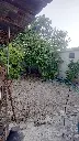 A309001-S10.webp