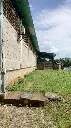 A308012-S03.webp
