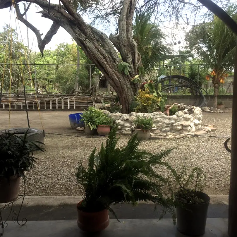 [A210004] VENTA | Granja de 3.130 m² ubicado en el sector El Tamarindo, municipio Palavecino del estado Lara