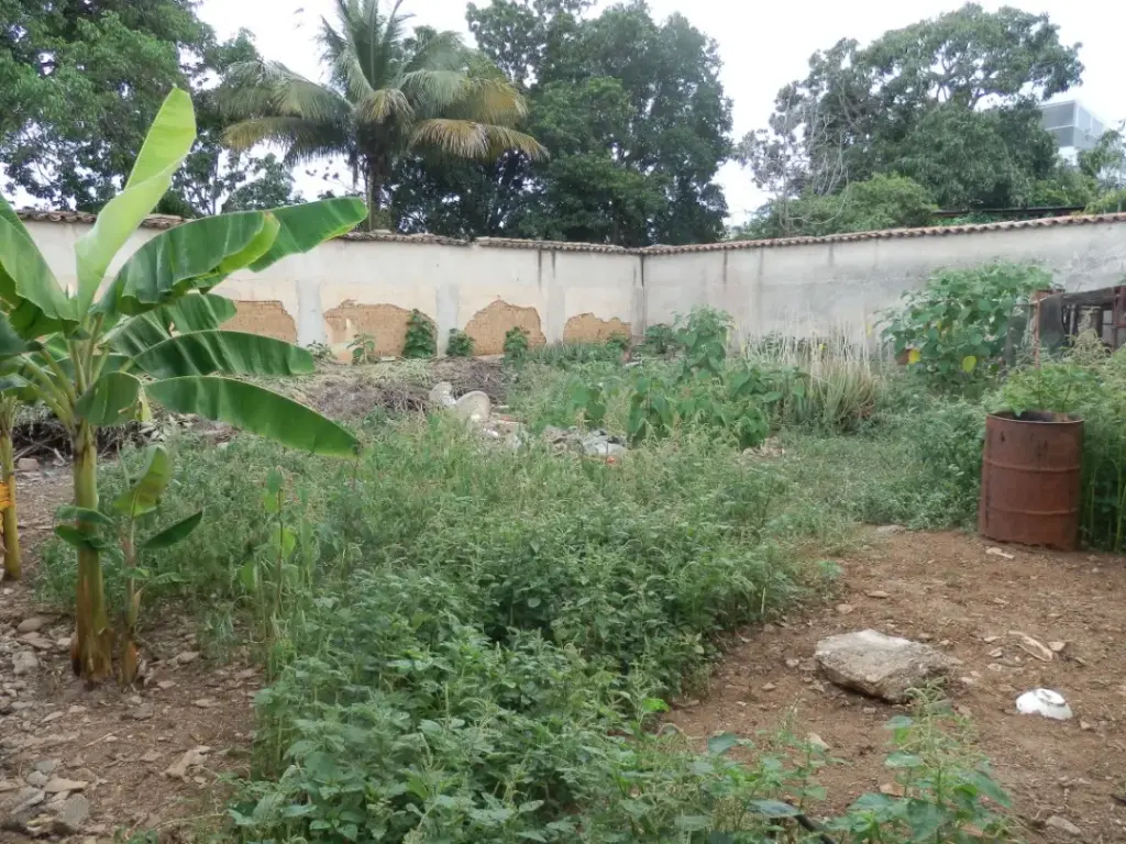 [A210007] VENTA | Terreno de 1200 m² con 30 metros de frente, en la carrera 17 de Barquisimeto, estado Lara