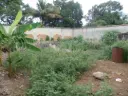 VENTA | Terreno de 1200 m² con 30 metros de frente, en la carrera 17 de Barquisimeto, estado Lara