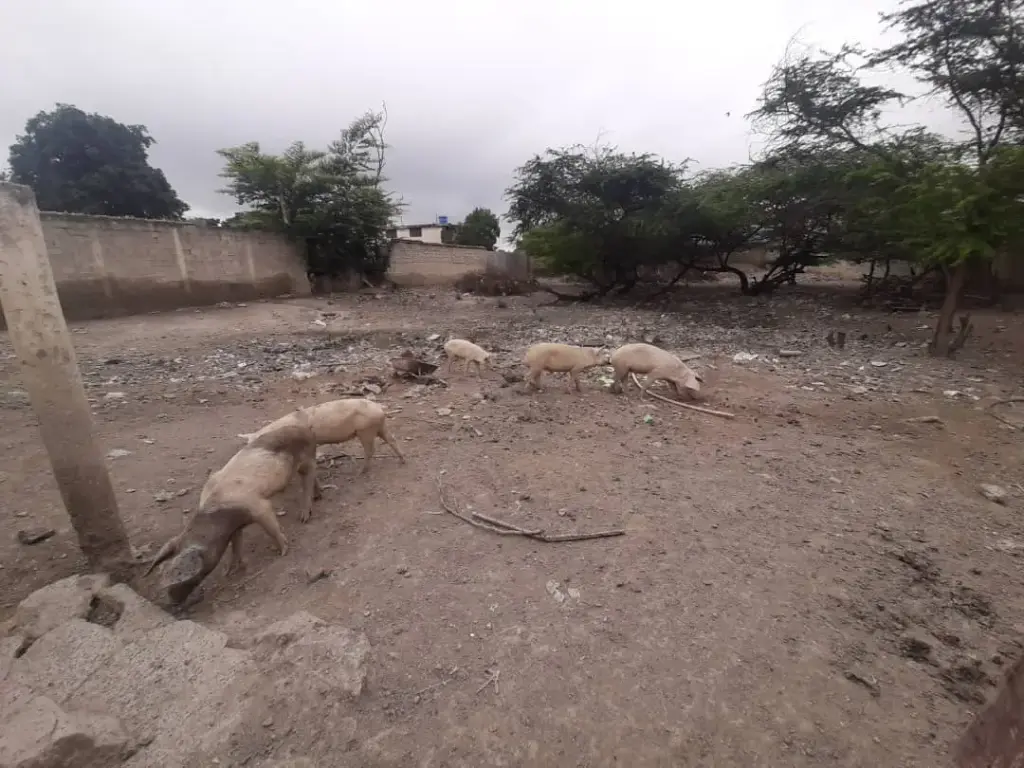 [A307010] VENTA | Terreno de 2093 m² en privilegiada posición del centro de Quíbor, estado Lara