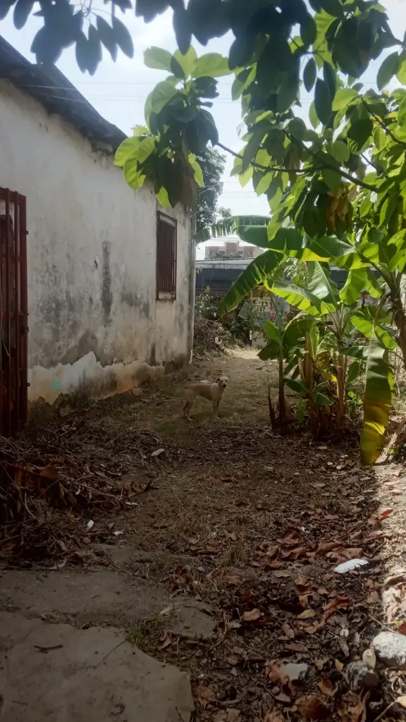 [A307011] VENTA | Terreno ejido de 1128 m² en la carrera 13 de Barquisimeto, estado Lara