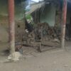 Ruinas