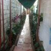 Pasillo